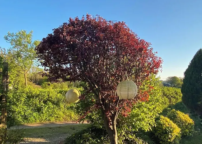 Vakantiehuis Tiny Haus An Der Schlei *